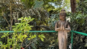 Una estatua de una figura sentada con las manos en posición de oración, rodeada de abundante follaje y una planta roja en maceta.