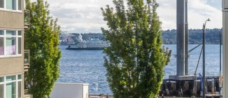 Vista desde la propiedad