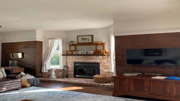 TV connectée, cheminée, lecteur de DVD, livres