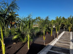 Property grounds - TAJUYA SUITE (Los Llanos)