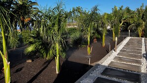 Un sentier bordé de palmiers et doté d’un chemin pavé.