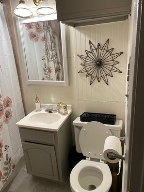 Combined shower/tub, hair dryer, towels