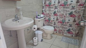 Dusche, Haartrockner, Handtücher, Seife