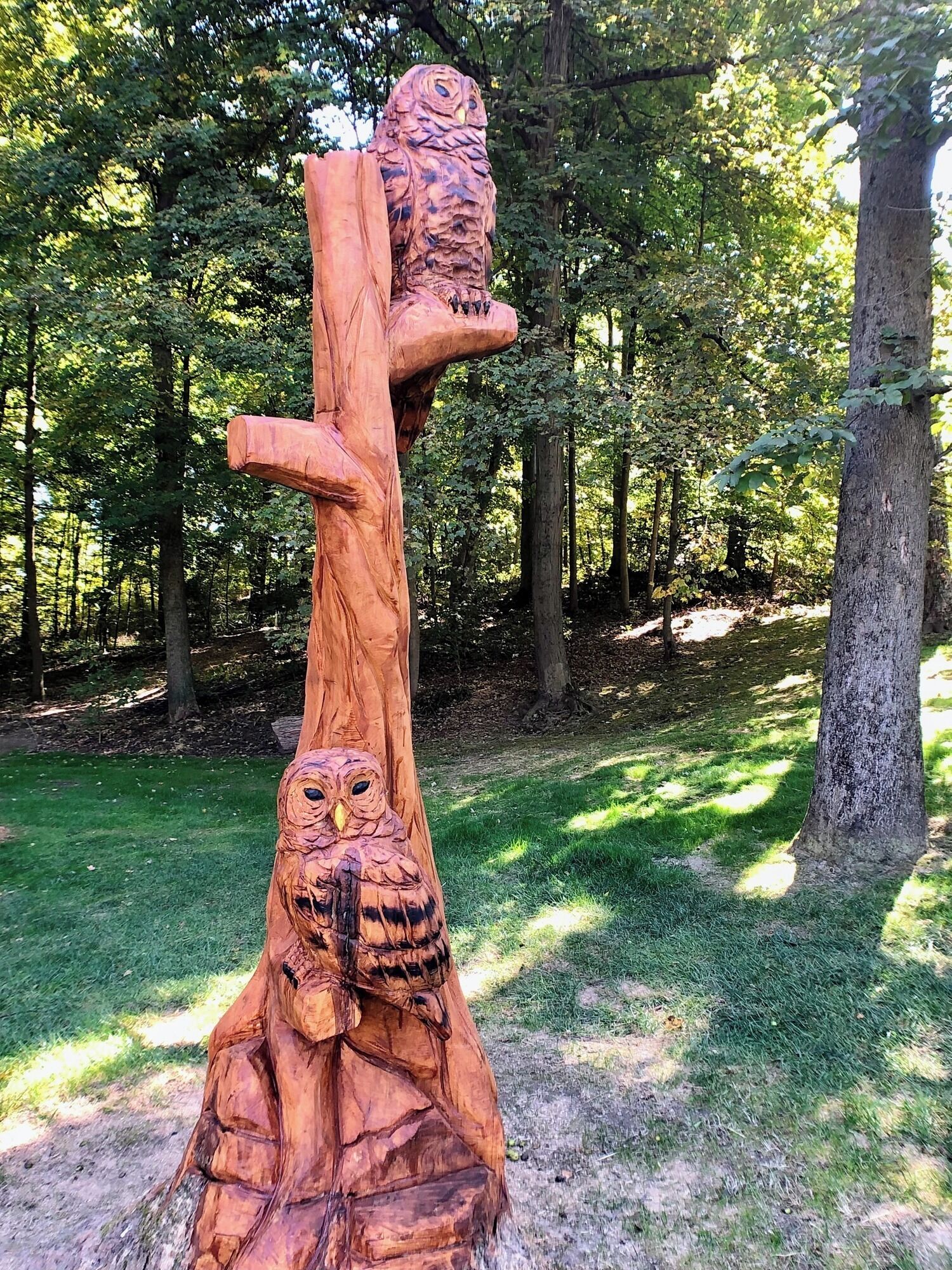 A wooden sculpture of owls in a forest setting.