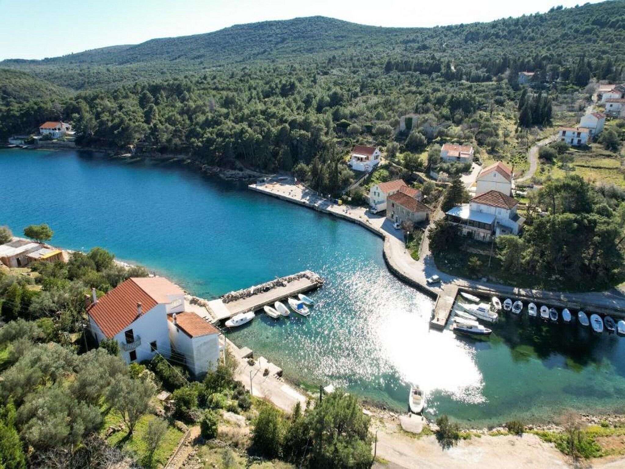 Un pueblo costero con casas, un muelle y barcos.