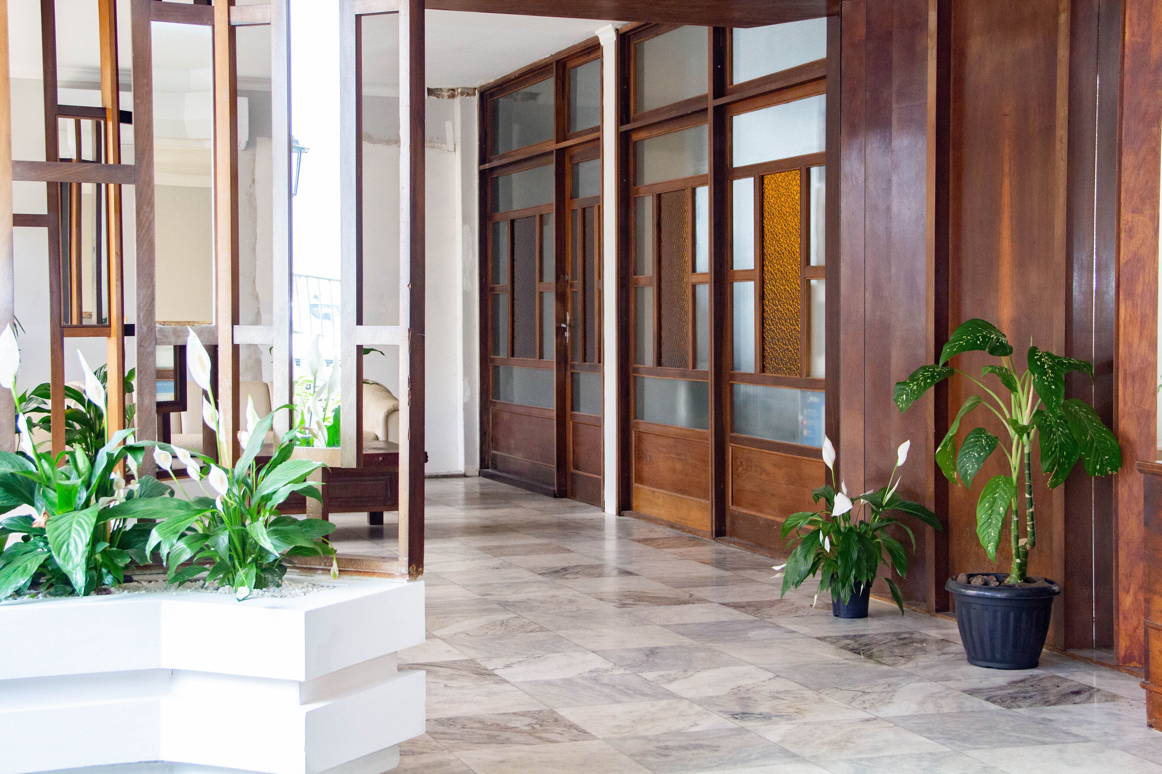 A hallway with wooden doors, potted plants, and a tiled floor.