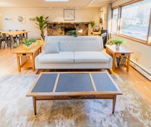 Smart TV, fireplace, books, music library
