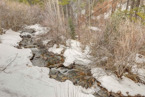 A snow-covered stream in a forested area. - Updated Cozy Cabin on the River / Hot Tub / Beach (Idaho Springs)
