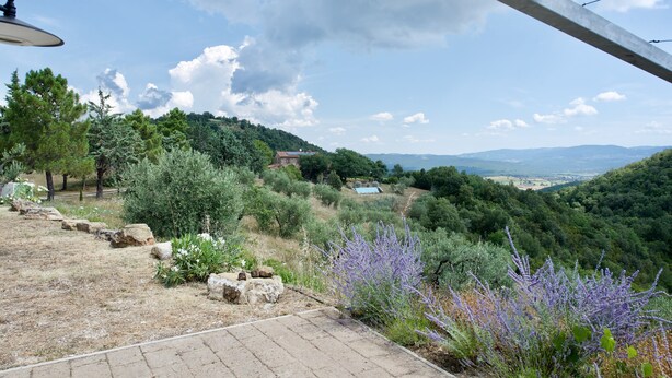 Ein Garten mit einem Kiesweg, verschiedenen Sträuchern und einer entfernten Ansicht eines Hauses auf einem Hügel.