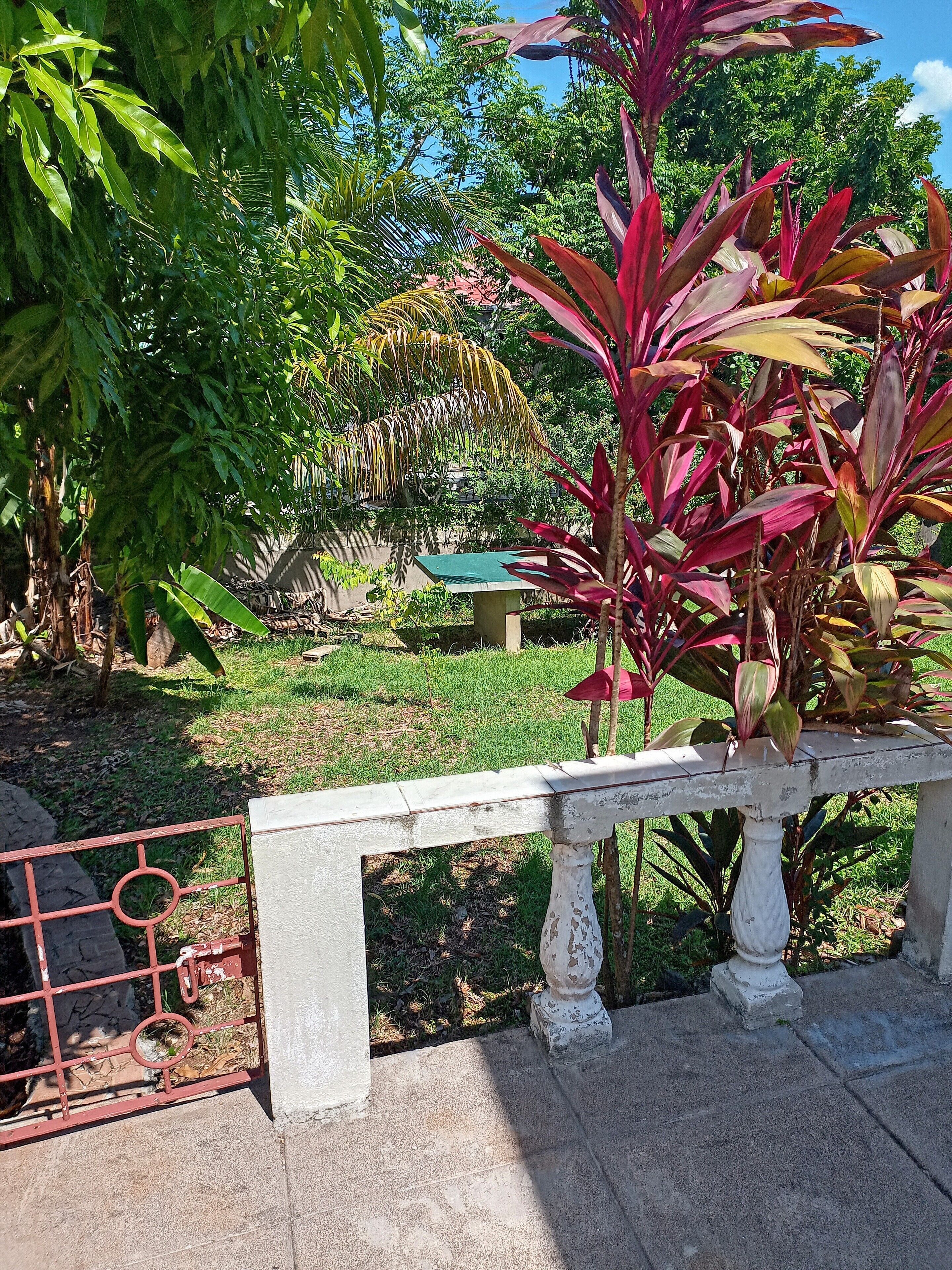 Àrea exterior de l'allotjament