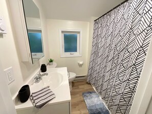 Combined shower/tub, hair dryer