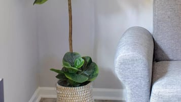 Una planta alta en maceta con hojas anchas, en una cesta tejida, ubicada junto a un sillón tapizado gris.