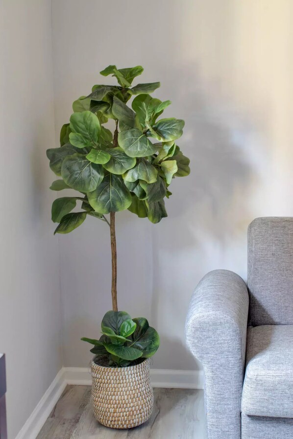 En hög krukväxt med stora blad, placerad i en flätad korg, står bredvid en grå klädd fåtölj.
