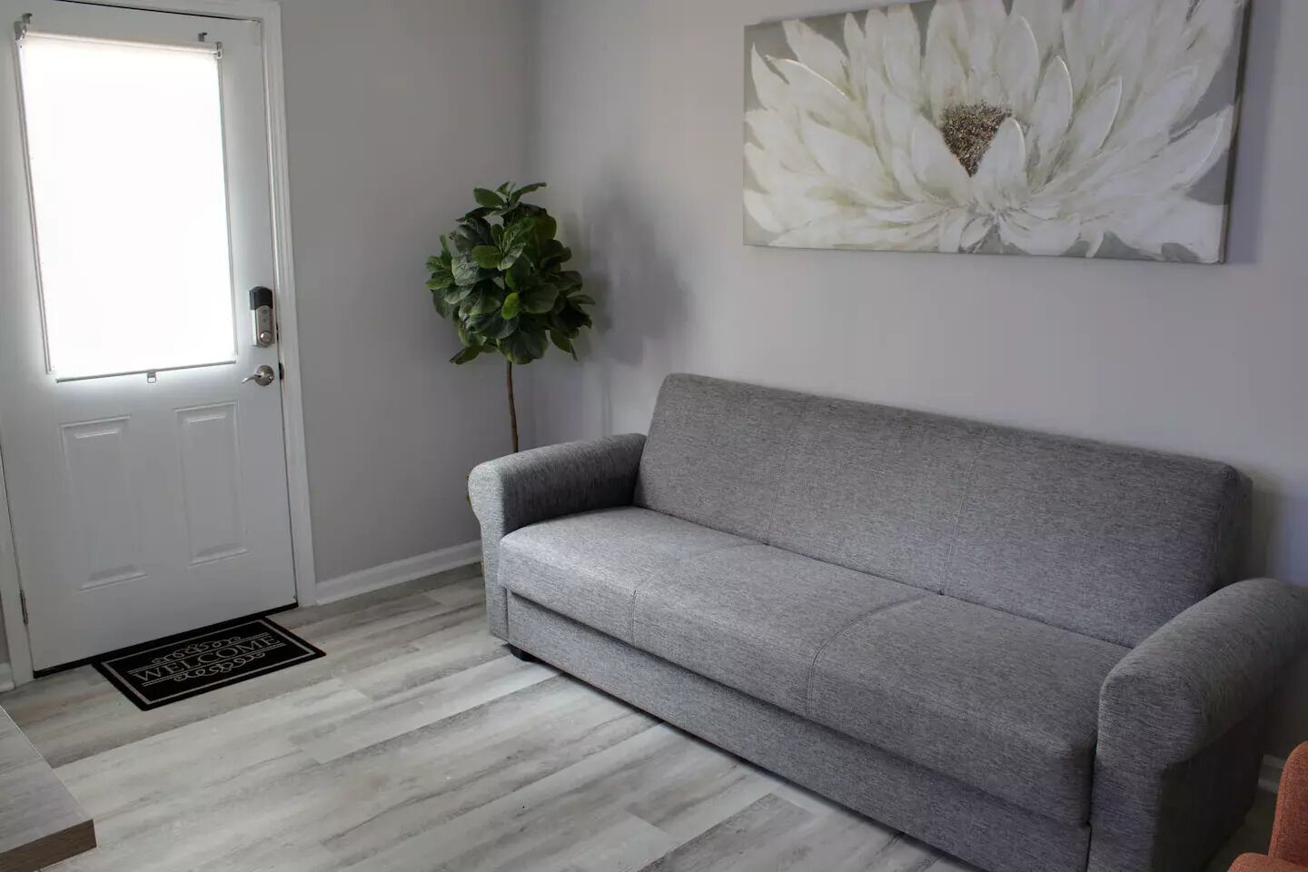 Un sofá gris en una habitación con una puerta blanca, una planta en maceta y un cuadro grande con motivos florales blancos en la pared.