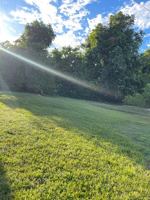 Unclassified image, 4 of 11, button