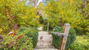 Um caminho de madeira serpenteia por um jardim com diversas plantas e um pequeno edifício ao fundo.