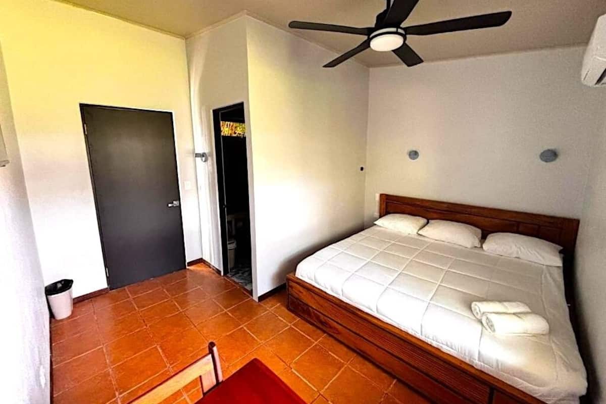 A bedroom with a bed, a ceiling fan, a door, and a red chair.