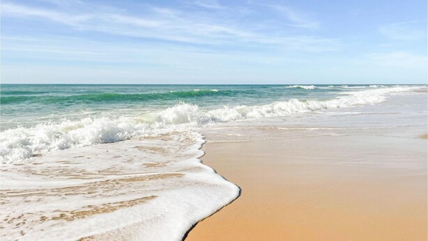 En strand där vågorna försiktigt skvalpar mot stranden under en klar himmel.