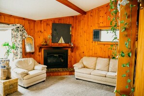 Smart TV, caminetto, libri