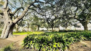 A park with mature trees, a well-maintained lawn, and a pathway.