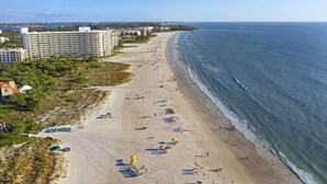 Una playa con una fila de hoteles de gran altura, arena y océano.