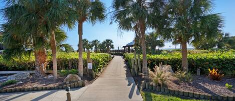 A pathway lined with palm trees and lush greenery, leading to a structure in the distance.