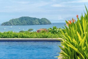 Pool - Amazing Ocean Views: Luxury Apartment @ Los Sueños (Playa Herradura)