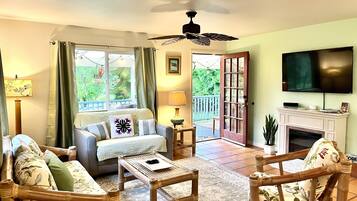Smart TV, fireplace, books