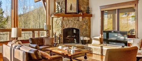 TV, fireplace, offices