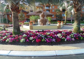 Parco della struttura