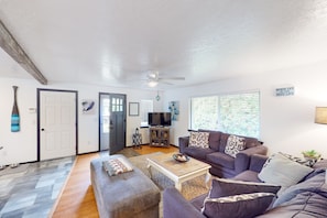 TV, DVD player, books, video library