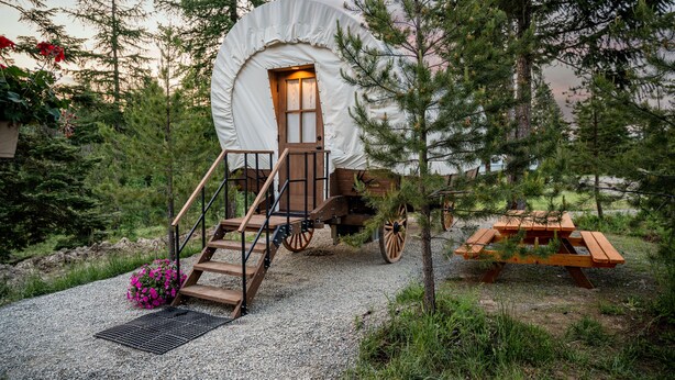 Una carpa rústica con una escalera de madera que lleva a una puerta, rodeada de árboles y una mesa de picnic.