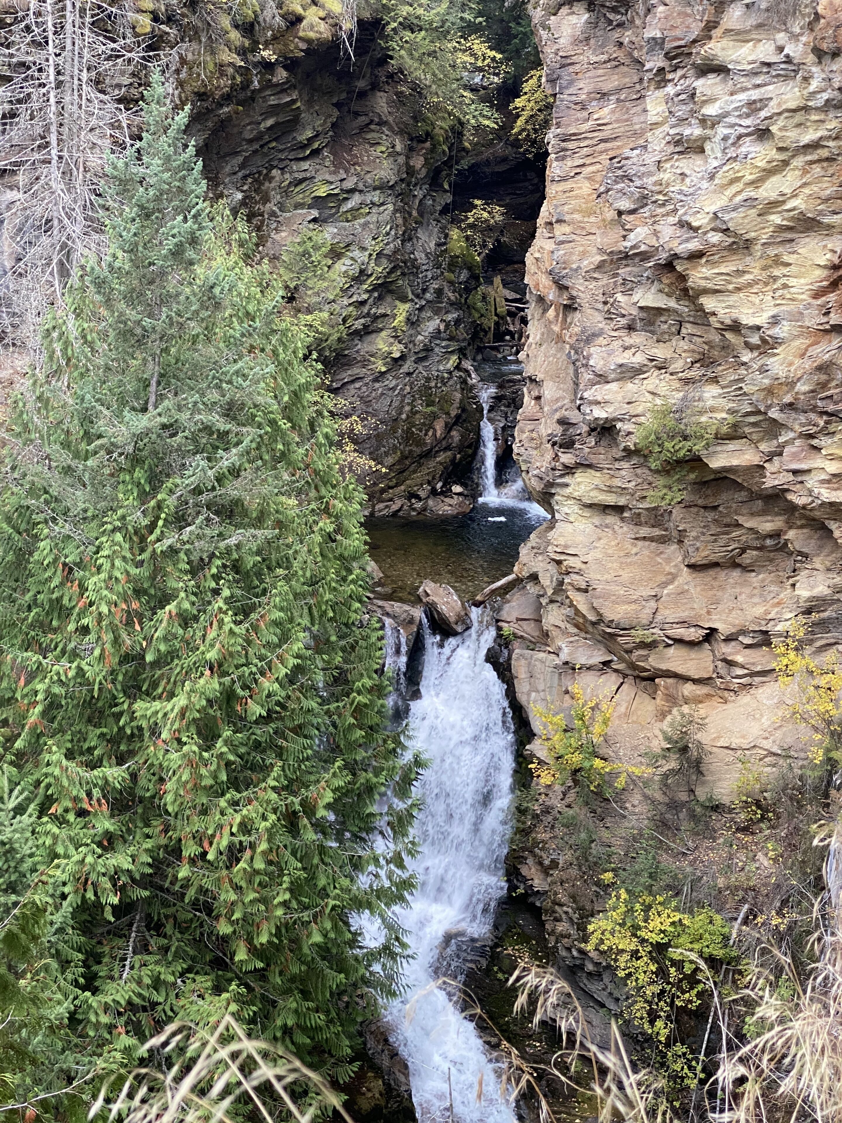 A waterfall cascading down a rocky cliff surrounded by dense evergreen trees.