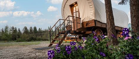 Luxury Tent, 1 Bedroom | Terrace/patio