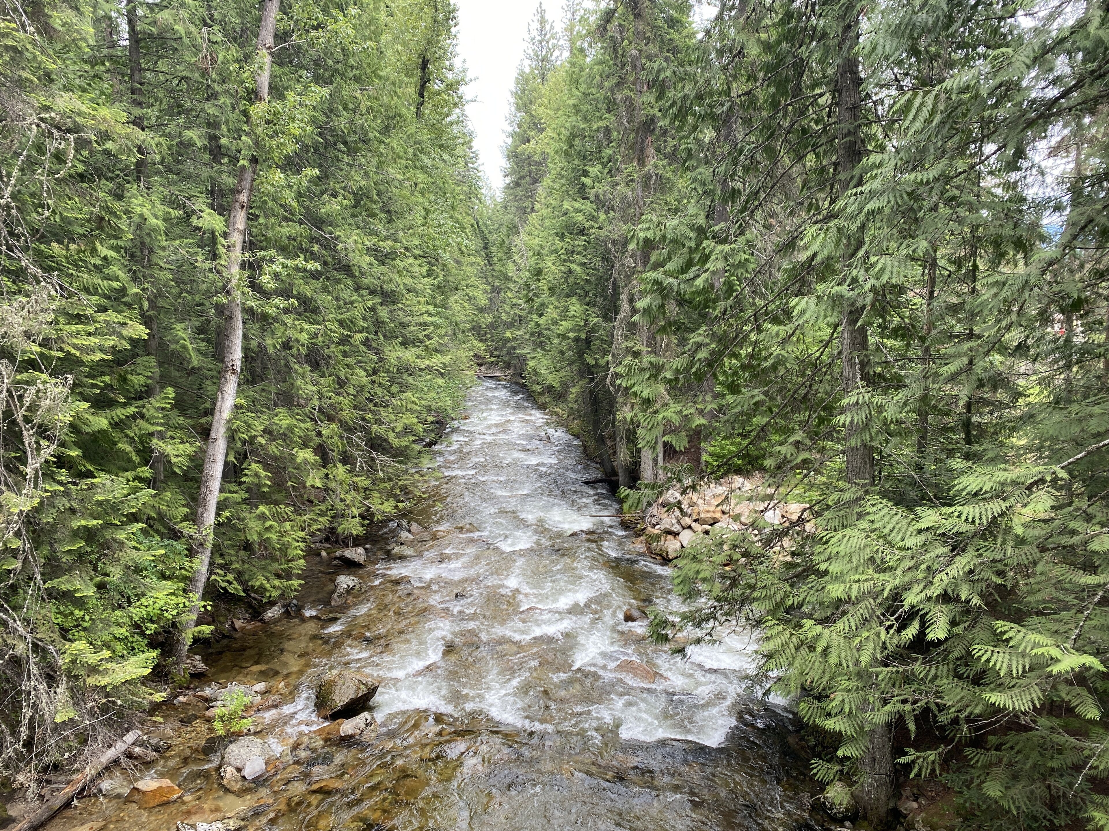 Un ruisseau étroit et rocheux, bordé d’une forêt dense et verdoyante.