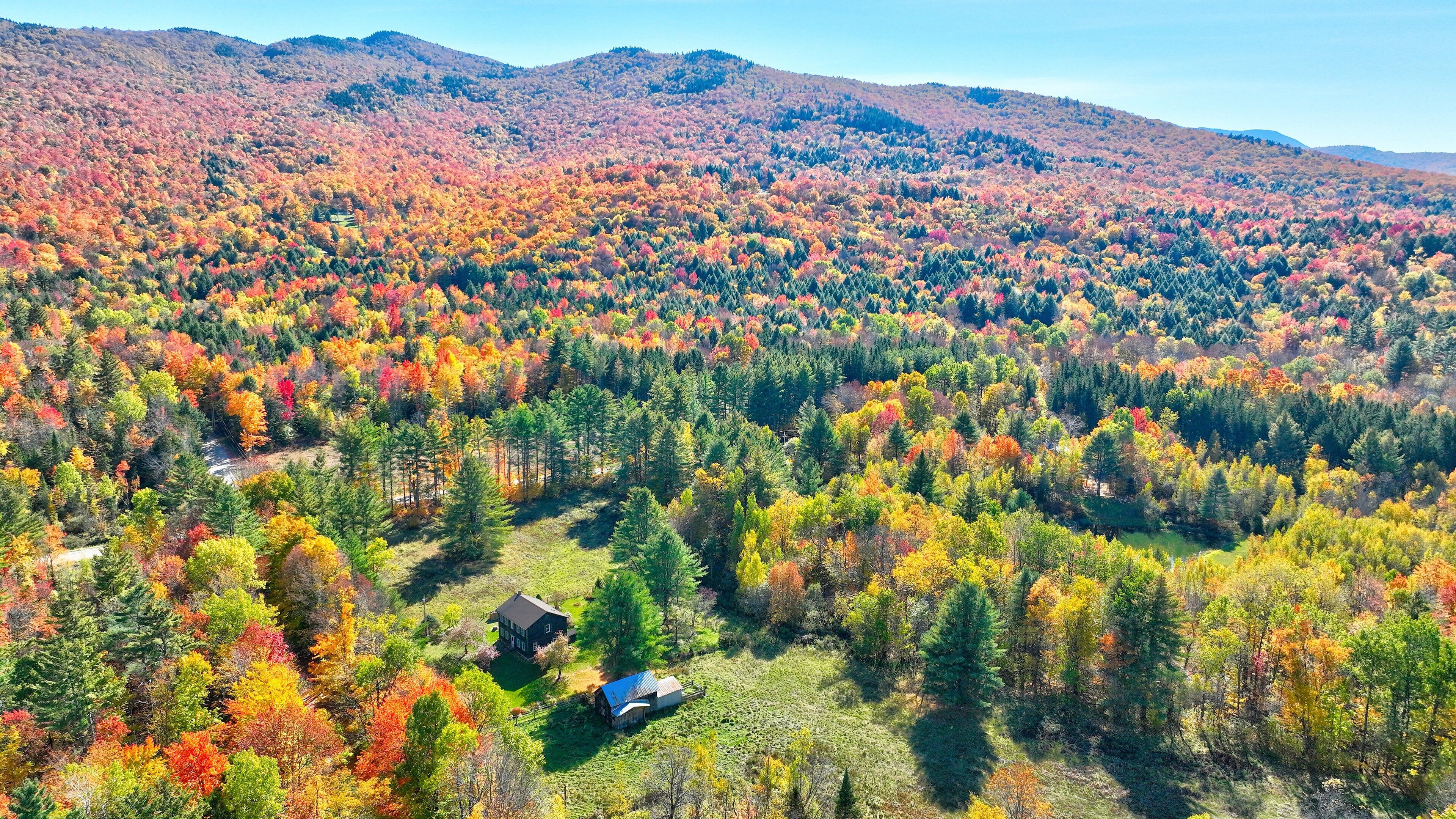 A rural landscape with a house surrounded by dense forest and hills in the background.