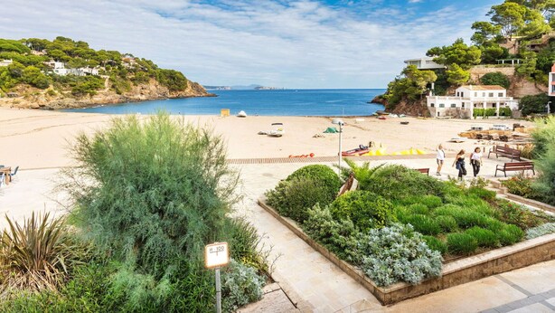 Uma praia com vista clara para o mar, um calçadão pavimentado e alguma vegetação.