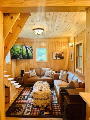 Televisión, chimenea y videoteca 