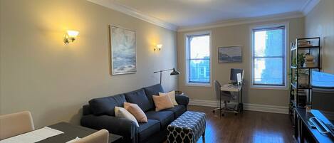 TV, computer monitors