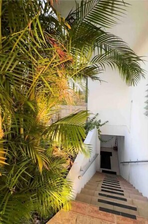 Property grounds - Tropical Patio full apt w/ kitchen #2 (Aguada)