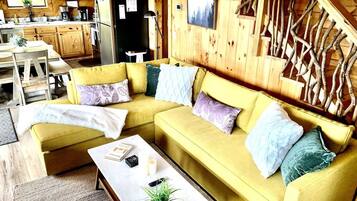 Smart TV, fireplace, video games, DVD player