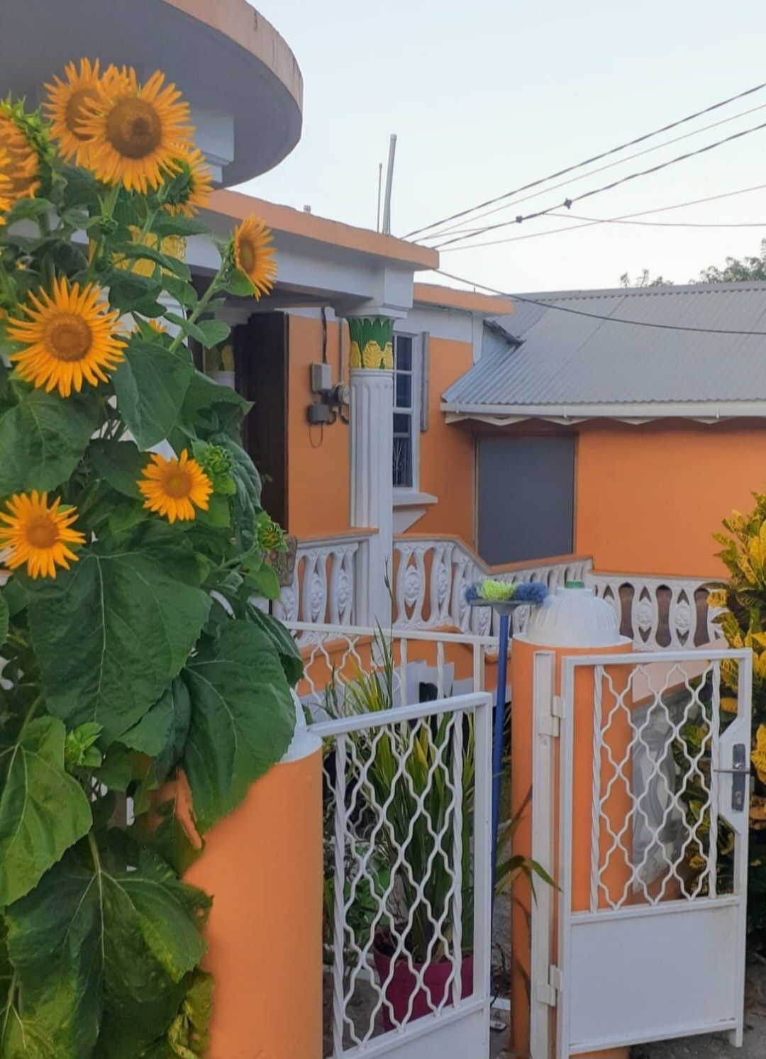 Una zona residencial con una casa que tiene un portón blanco, un ventanal pequeño y una puerta.