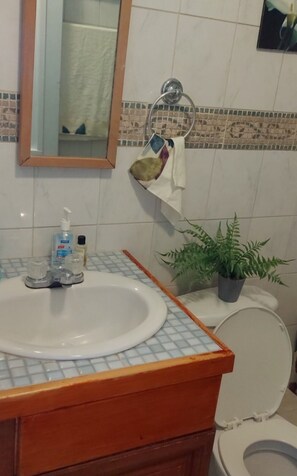 Ducha, secador de pelo, toallas y jabón