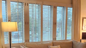 Smart TV, fireplace, books, printers