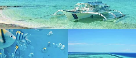 靠近海滩、沙滩毛巾