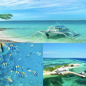 Ranta lähistöllä, rantapyyhkeitä