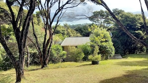 A house surrounded by trees and a grassy area. - Te Oneroa Hill, 5 acres of native park with wonderful sea view. (Russell)