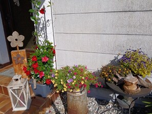 Ein Garten mit verschiedenen Blumentöpfen und Blumen.