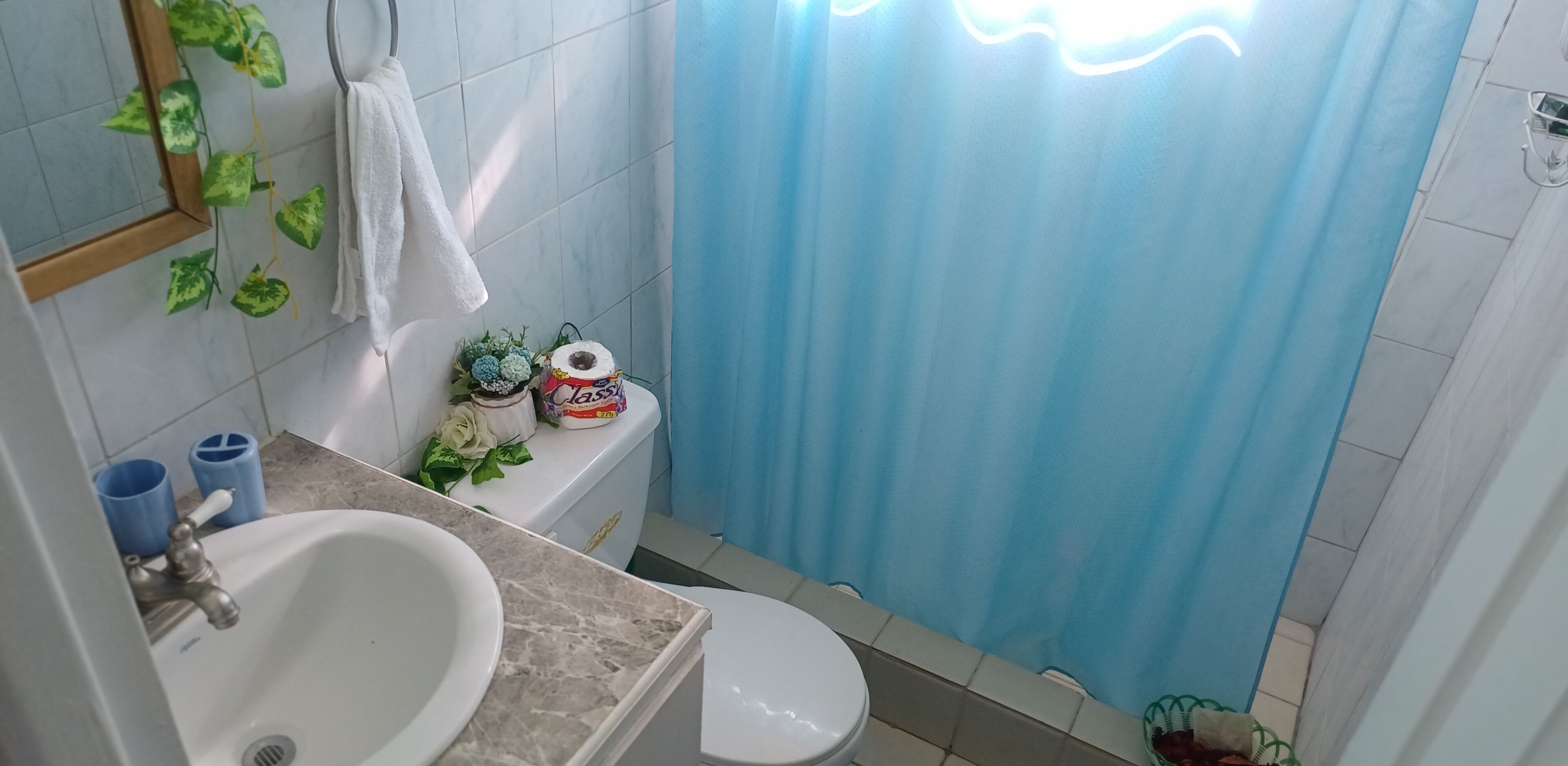 Ein Badezimmer mit Waschbecken, Toilette und Duschvorhang.