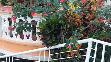 Detalle del exterior